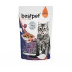 Bestpet Premium 85 gr Somonlu Kedi Pounch
