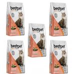 Bestpet Sterilised Somonlu 5x1 kg Kısır Kedi Maması