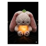 BESTTOYS Uyku arkadaşı çilek tavşan fermuarlı açılıp kapanan sesli müzikli ve ışıklı pilli çocuk oyuncak