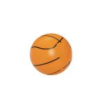 Bestway 52418 Splash N Hoop Şişme Havuz Basketbol Oyun Seti