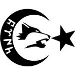 Beta Moda Hub Göktürkçe Ay Yıldız Oto Sticker Siyah 25 X 20 Cm