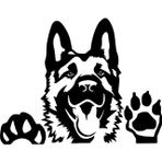 Beta Moda Hub Tatlı Köpek Oto Sticker Siyah 30 X 24 Cm