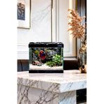 Betta Balığı Akvaryumu Siyah 23X12x21 Cm 4 Litre Arka Plan Hediyeli