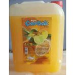 Beyaz Çardak 1+9 Limon Konsantre şurup meyve suyu - 6 kg