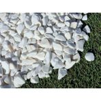 Beyaz Dolomit Taşı 3 Kg, 1-2 Cm, Bahçe, Çakıl, Saksı, Akvaryum, Teraryum Için Ideal - Seçenek 1 - Ahşap