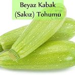 Beyaz Kabak Tohumu 1 Paket (10Gr=100+ Adet) Sakız Kabak Tohumu
