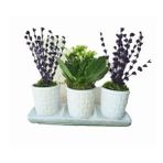 Beyaz Kalanşo Kalanchoe & Kokulu Lavanta & Beyaz Trio Mood Beton Saksıda Canlı Çiçek BALFLOWERDESİGN-2820