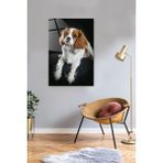 Beyaz Köpek Cam Tablo 40CM x 60CM, Ev Dekoru, Sanat Eseri - Ahşap - Beyaz - Seçenek 1