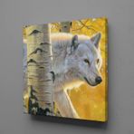 Beyaz Kurt Kanvas Tablo 30x30cm