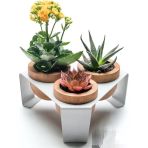 Beyaz Metal Stantlı 3’Lü Skulent Saksısı – Metal Stant Meşe Saksılar, Tasarım, Dekoratif Çiçek Saksılığı, Skulent Kaktüs İçin Şık Saksı, Ev Ofis Dekoru, 19 Cm X 16.5 Cm X 8.5 Cm