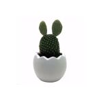 Beyaz Mini Egg Beton Saksı Ve Canlı Tavşan Kulağı Kaktüs Çiçeği