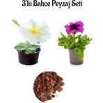 Beyaz PETUNYA(10-20CM)+MOR PETUNYA(10-20CM)+2LT Dekoratif Taş 3'lü Peyzaj Seti