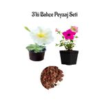 Beyaz PETUNYA(10-20CM)+PEMBE PETUNYA(10-20CM)+2LT Dekoratif Taş 3'lü Peyzaj Seti