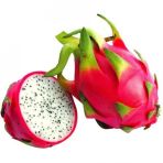 Beyaz Pitaya Ağacı Tohumu Ejder Meyvesi Thumu 10 Tohum+Saksı+Topk