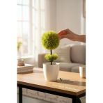 Beyaz Saksı 25 Cm Yapay Top Şimşir Vitrin