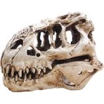 Beyaz Stil L Beden T-Rex Kafatası Dinozor Reçine El Sanatları Hediye Ev Dekoru Replika Akvaryum Süsü Tyrannosaur Kafatası Iskeleti Akvaryum Dekorasyonu (Yurt Dışından)