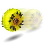 Beyblade Beywheelz W-05 A Wild mane Leone Battler