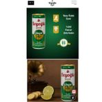 Beyoğlu Gazoz Ginger Ale 250 ml x 24 Adet - KOLİ