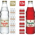 Beyoğlu Klasik Gazoz 12 x 250 ml + Reyhan Aromalı Gazoz 12 x 250 ml - Metal Filtre