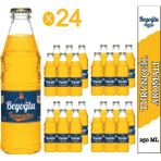 Beyoğlu Turunç Aromalı Gazoz 24x 250 ml
