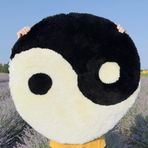 Beyond Deco Yin Yang Halı 35 inç, El Yapımı Püsküllü Yuvarlak Trippy Yumuşak Alan Halıları Oturma Odası, Yatak Odası, Mutfak, Dairesel Zeminde Yıkanabilir Kaymaz Banyo Paspası (Siyah-Beyaz)