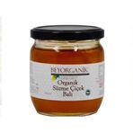 Beyorganik 500 gr Süzme Çiçek Balı