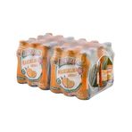 Beypazarı 200 ml Mandalinalı Maden Suyu