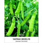 Bezelye Tohumu Tırabi Yaprak - 2 KG