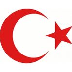 Bezos Türk Bayrağı Oto Sticker Kırmızı 23X17 cm - Belirtilmemiş