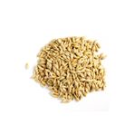 BFHOME Arpa Tane 250 Gr ata tohumu