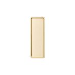 Bg Store Paslanmaz Çelik, Dikdörtgen Sunum Tepsisi, Gold, 33X13 Cm, Düz, Çay, Kahve, Pasta Sunum, 1 Adet