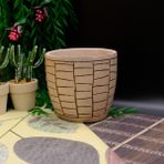 BGG Duvar Çizgi Desenli Orkidelik Dekoratif Beton Saksı - Bej