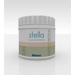 Bianca Stella Siyah 500 ml Su Bazlı Boya