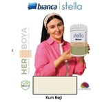 Bianca Stella Yeni Nesil Yaşam Boyası Kum Beji Renkli Mat Boya Dolap-Fayans-Cam-Plastik-Ahşap