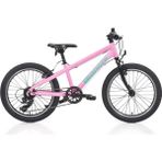 Bianchi Bıanchı XR20 Kız Çocuk Bisikleti 280H V 20 Jant 7 Vites Shımano 9W Pembe Yeşil - Çok Renkli