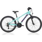 Bianchi Bıanchı XR24.2 24 Jant V Fren 21 Vites Dağ Bisikleti Celeste-Mor