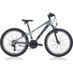 Bianchi Bıanchı XR24.2 24 Jant V Fren 21 Vites Dağ Bisikleti Gri-Siyah - Gri - Siyah