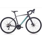 Bianchi Gri 52 cm Nirone 7 Disk 2X12 Yol ve Yarış Bisikleti