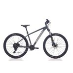 Bianchi Magma 29.1 480H HD 29 Jant 24 Vites Altus Dark Grey Silver Gloss Erkek Dağ Bisikleti