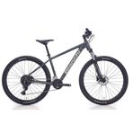 Bianchi Magma 29.1 530H HD 29 Jant 24 Vites Altus Dark Grey Silver Gloss Erkek Dağ Bisikleti
