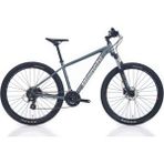 Bianchi Magma 29.1 Altus 29 24V HD Gümüş 48 cm Dağ Bisikleti