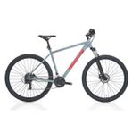 Bianchi Magma 29.3 480H HD 29 Jant 21 Vites Tourney Grey Red Glossy Erkek Dağ Biskleti
