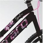 Bianchi Speed 262 26 Jant 380H 21-V Vb Mat Siyah-Pembe-Beyaz