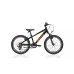 Bıanchı Xr20.2 Erkek Çocuk Bisikleti 280H V 20 Jant 7 Vites Siyah Turuncu