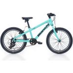 Bianchi XR20 Çocuk Bisikleti 20 Jant 2024 280H YTB15S7C - Antrasit - Turkuaz