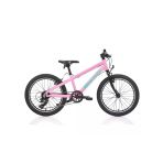 Bıanchı Xr20 Kız Çocuk Bisikleti 280H V 20 Jant 7 Vites Shımano 9W Pembe Yeşil