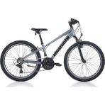 Bianchi XR24.2 21-V Vb Erkek Çocuk Dağ Bisikleti - Gri-Siyah - 31 cm - Gri - Siyah