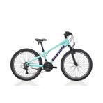 Bianchi Xr24.2 24 Jant V Fren 21 Vites Dağ Bisikleti Açık Mavi-Mor
