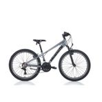 BIANCHI XR24.2 24 JANT V Fren 21 Vites Dağ Bisikleti Gri-Siyah