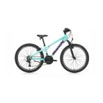 Bıanchı Xr24.2 Erkek Dağ Bisikleti 310H V 24 Jant 21 Vites Celeste Mor